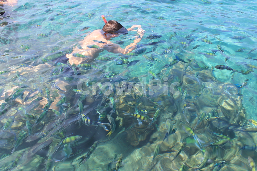 water,물,diver,잠수부,스포츠,sports,snorkeling,스노클링,diving,다이빙,바다,사람,인물,인간,human,person,스포츠,레저,운동,sports,leisure,exercise