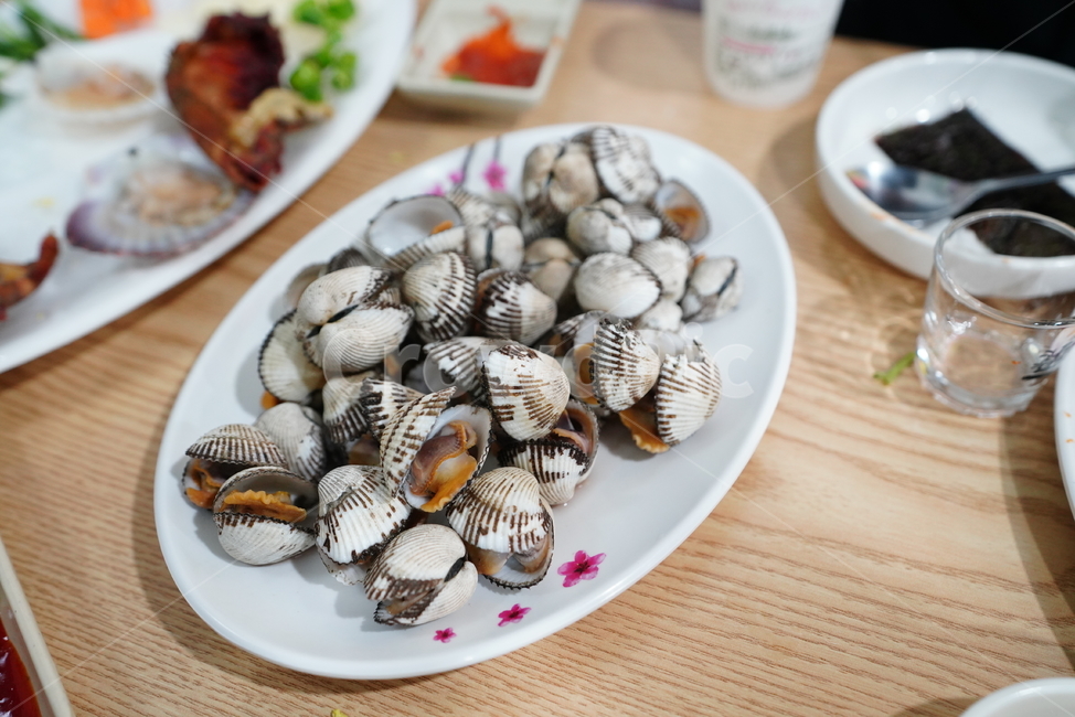 꼬막,조개,음식,안주,먹거리,food,해산물,술안주,sealife,해양생물,음식,식재료,요리,food,cook,meal,dishes,food reserves