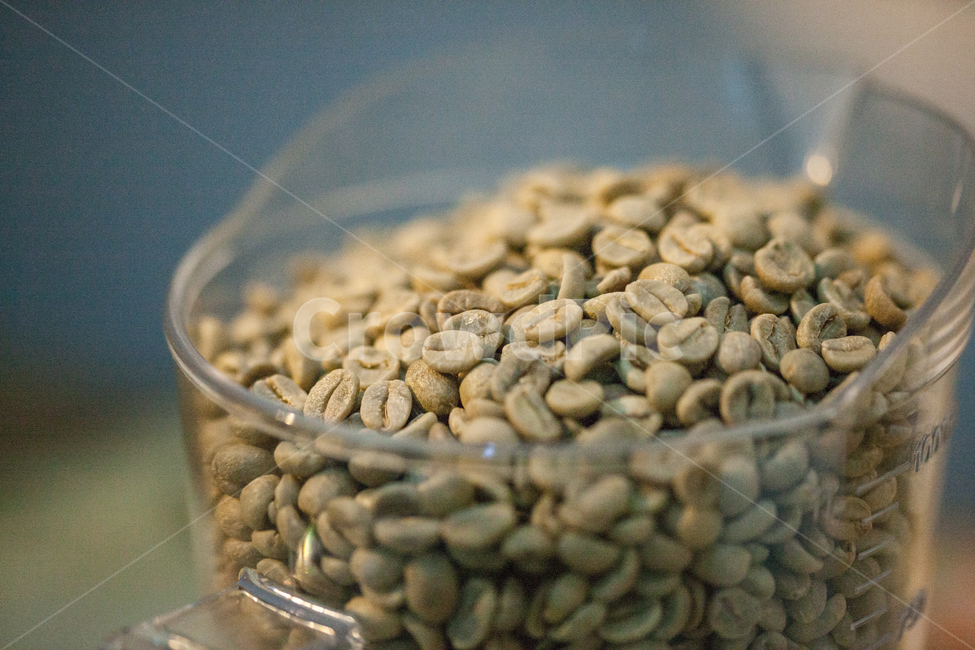 커피,커피콩,생두,로스팅,카페,커피,카페,coffee,cafe