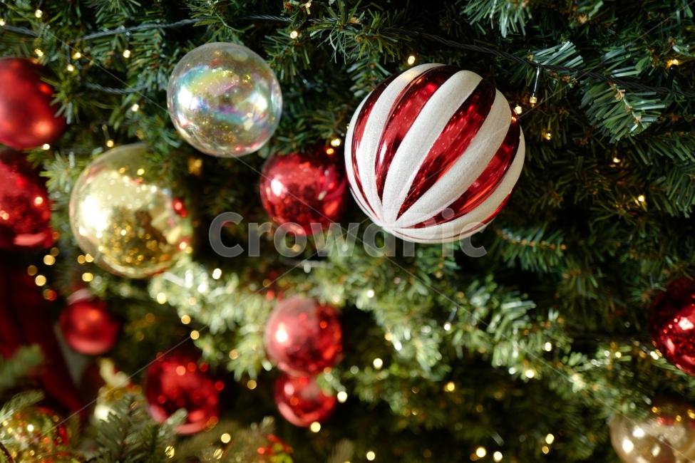 크리스마스,산타,크리스마스트리,트리,징글벨,리본,선물,연말,파티,겨울,계절,winterseason종교,신앙,religion,belief,faith,기념일,축하,anniversary,congratulation,celebrate,celebration,메리크리스마스,성탄절,merrychristma,s인테리어,실내디자인,interiordesign,겨울,계절,winter,season,기념일,축하,anniversary,congratulation,celebrate,celebration,메리크리스마스,성탄절,merry christmas,사물,물건,오브젝트,thing,object,matter