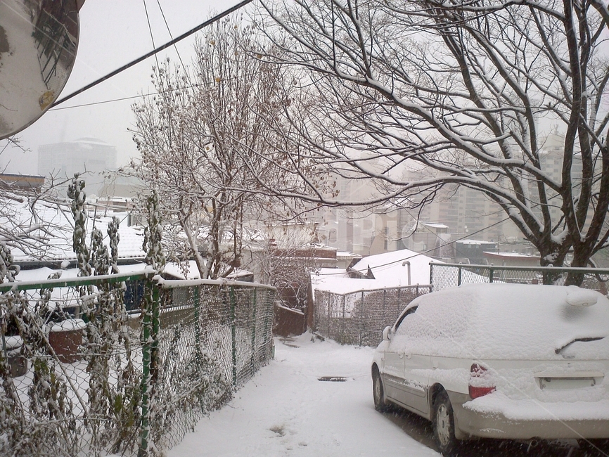 겨울,눈,쌓인눈,골목길,하얀눈,눈덮인나무,눈덮인자동차