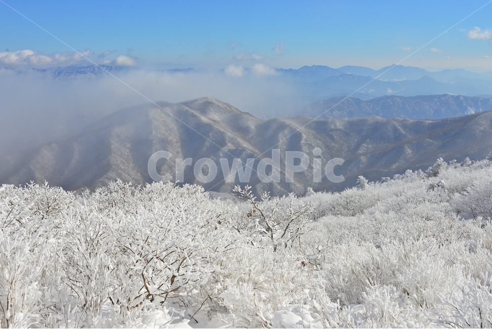 전북,무주,설천면,겨울,설경,상고대,향적봉,nature,자연,outdoors,옥외,mountainrange,산맥,mountain,산,ice,빙,겨울,계절,winter,season,자연,풍경,nature,landscape
