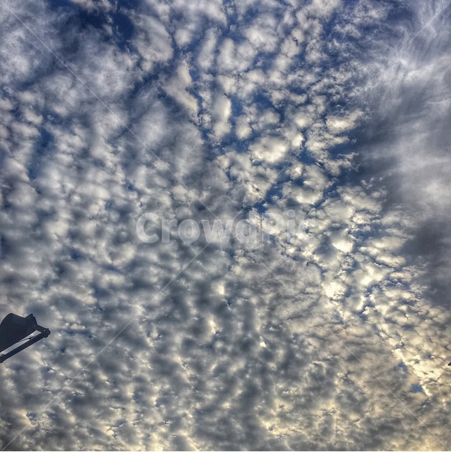 nature,자연,하늘,구름,권적운,cirrocumulus,곱슬구름,노을,감성