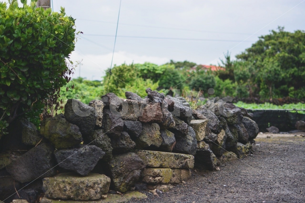 돌담,제주도,돌담길,돌탑,여행,나무,시골,돌,풀,Travel,Trip,Jejudo,Jejuisland,Stones,Stonewall,Tree,한국전통,tradition,제주도,jeju,jeju island,wall,벽,stone wall,rubble,파편
