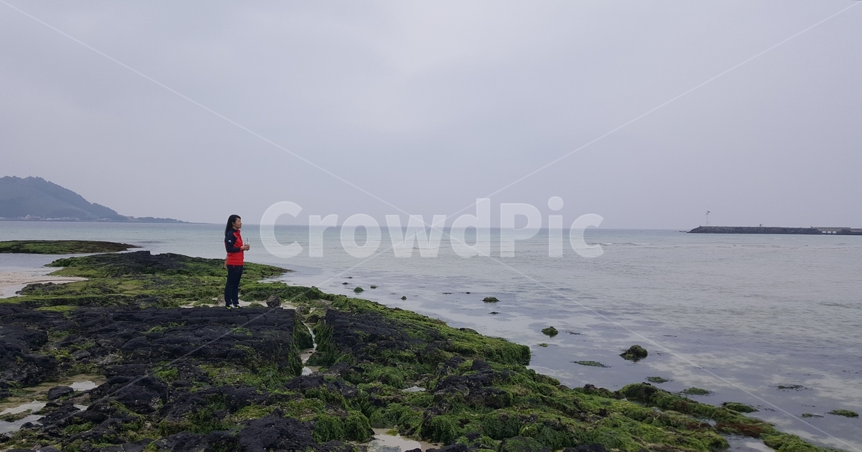 협재해수욕장,녹조,이끼,수평선,흐림,바다,자연,풍경,nature,landscape,사람,인물,인간,human,person,여성,여자,woman,female,lady