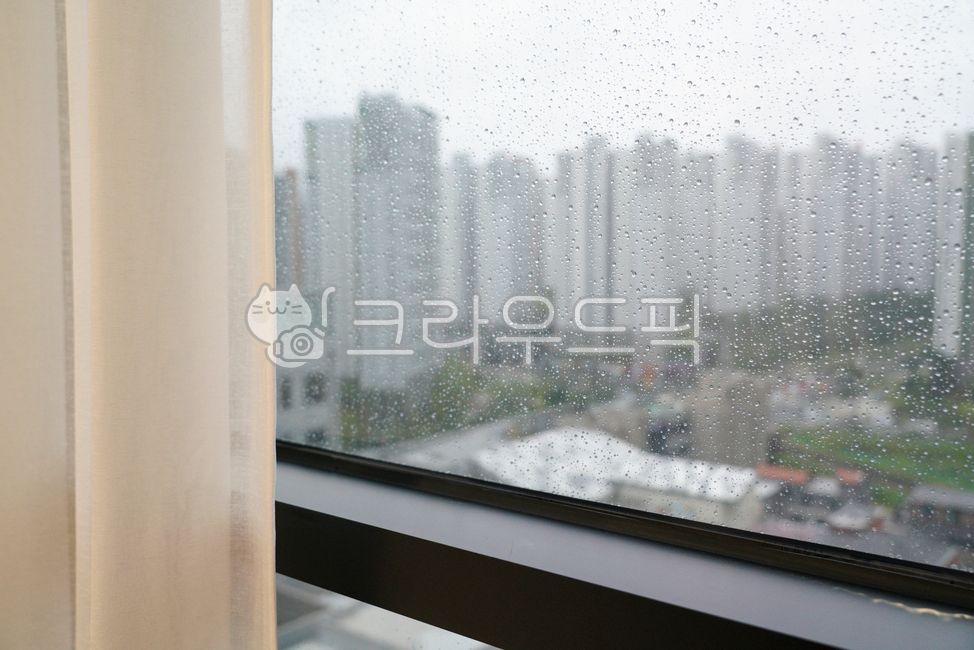 빗망울, 빗방울, 유리창, 날씨, 장미, 사진,이미지,일러스트,캘리그라피 - 톤앤매너작가