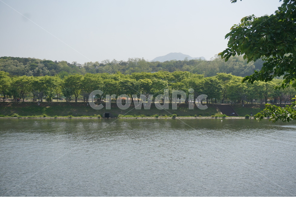 춘천,공지천,춘천공지천,강,공지천유원지,자연,풍경,nature,landscape,water,물,outdoors,옥외