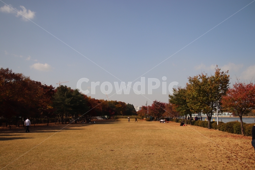 가을,낙엽,공원,나무,풍경,가을,계절,fall,autumn,season,사람들,대중,군중,other people,crowd
