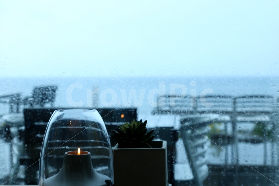 비,차가움,외로움,몽환,제주,휴식,힐링,rest,relaxation,healing,비,비오는날,rain,rainy,감성,sensible,feeling