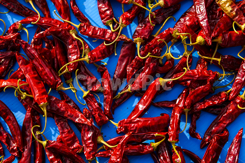 음식,가을,빨강,수확,레드,red,추수,원색,음식,식재료,요리,food,cook,meal,dishes,food reserves,채소,야채,vegetables