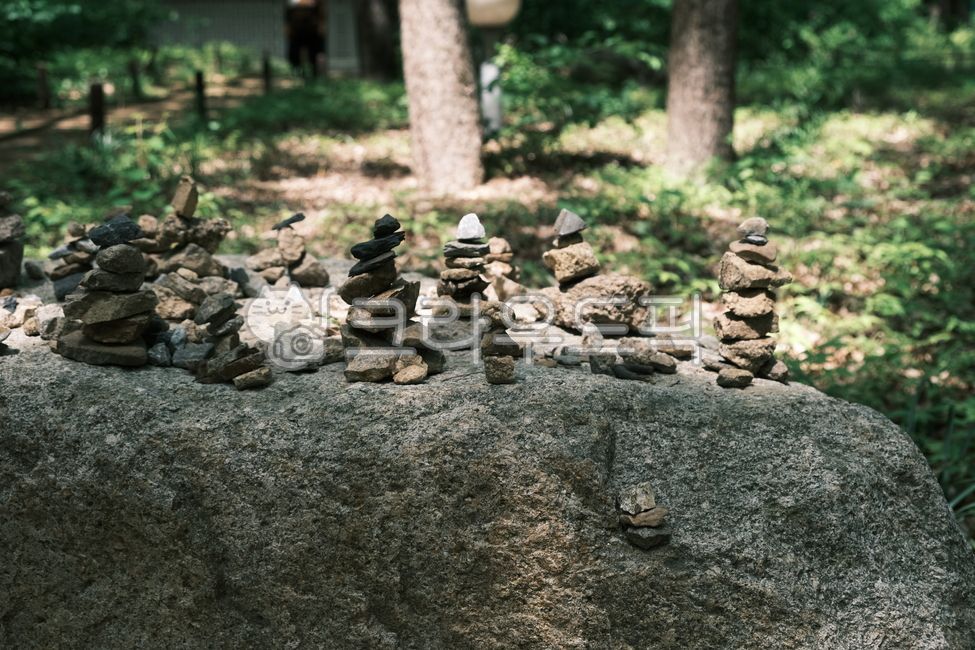 돌탑,돌쌓기,돌탑쌓기,소원,소원돌,나무,tree,자연,삼림지