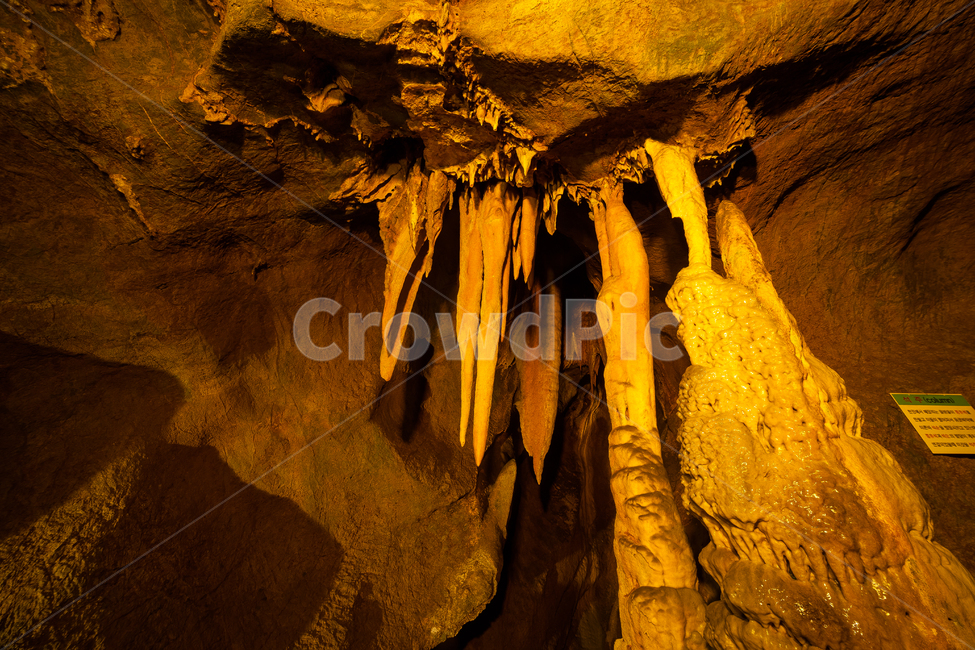 고수동굴,충청북도,동굴,어두운,돌,단양,지질학,지질형성,자연,풍경,nature,landscape,cave