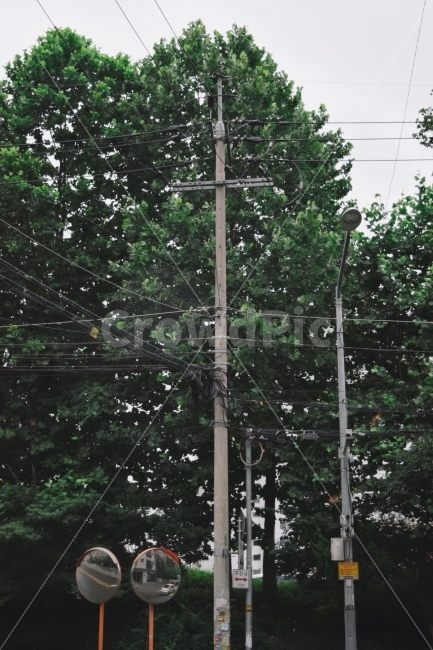 나무,초록,전봇대,하늘,거울,산업,industry,industrial,에너지산업,energy industry
