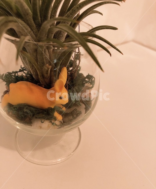 장식,토끼,감성사진,피규어,rabbit,장식품,toy