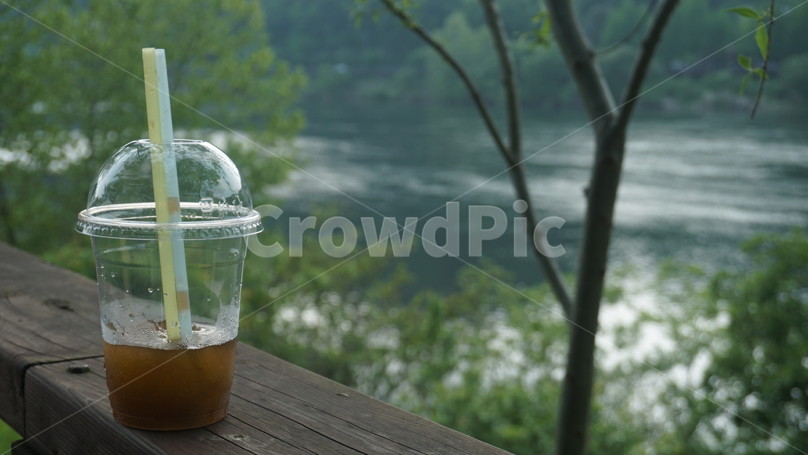 자연,산책,강,나무,힐링,커피,카페,coffee,cafe