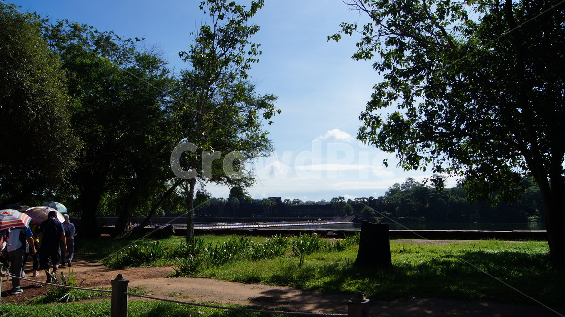 trees,tree,forest,cambodia,sky,blue,cloud,road,park,garden,landscape,green,nature,sun,sunny,sunnyday,나무,하늘,공원,숲,캄보디아,풍경,자연,잔디,해,풀