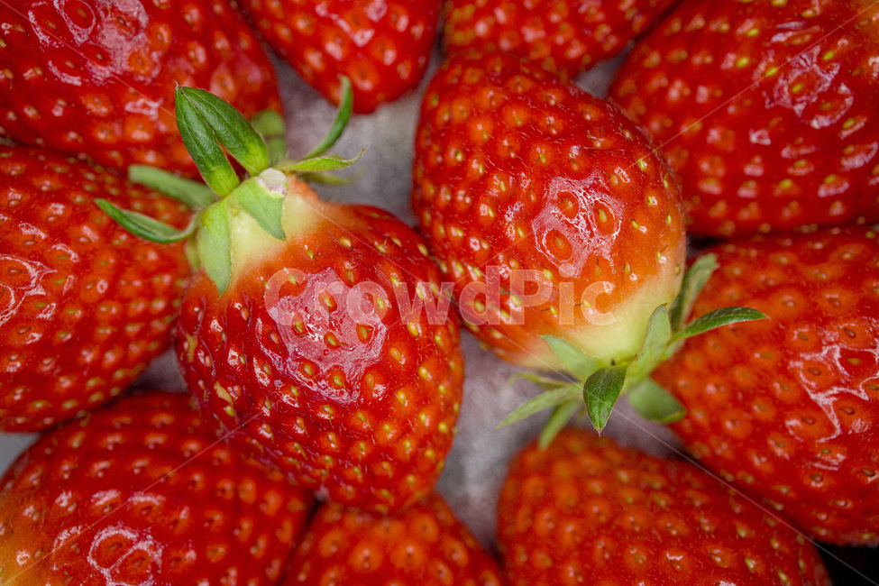 background,berry,closeup,delicious,dessert,diet,food,fresh,fruit,green,healthy,juicy,macro,nutrition,organic,red,ripe,strawberry,summer,sweet,vegetarian,vitamin,딸기,과일,빨간색,빨강,레드,디저트,음식,식재료,요리,food,cook,meal,dishes,food reserves,과일,열매,fruit