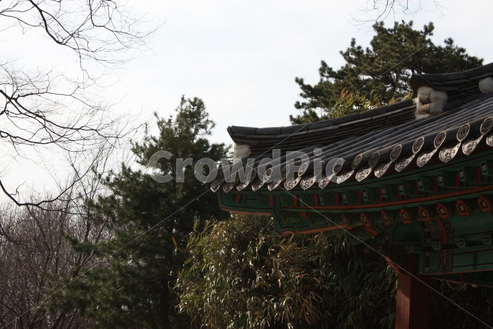 자연,풍경,처마,한국,전통,한국전통,한국문화,korean traditional,korean culture,건축물,건물외관,exterior,building,structure,architecture,construction