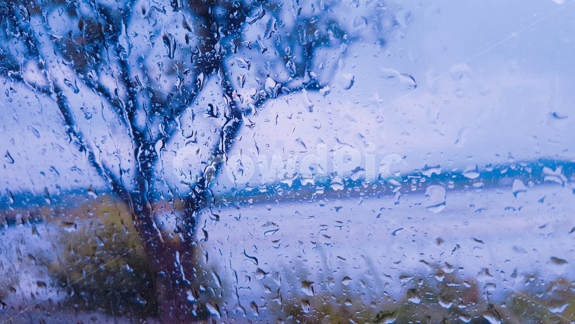 비,비오는날,비오는날풍경,빗방울,풍경,분위기,비,비오는날,rain,rainy