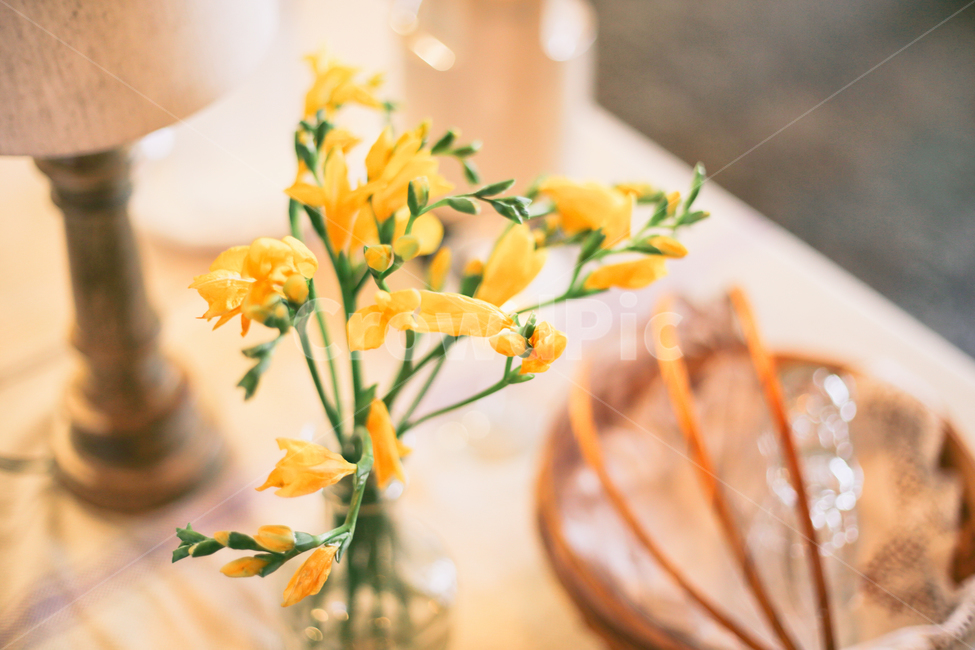 봄,제주도,도전테마,꽃,실내,인테리어,봄사진,카페,cafe,interior,감성,감성사진,햇살,그림자,힐링,여유,휴가,커튼,천,페브릭,유리병,화병,소품,디자인,리플렛,경험,flowers,flower,yellow,노랑,노란,노란색,노랑꽃,봄,계절,spring,season,식물,자연,plants,nature,꽃,flower,실내용화초,화분,화초,house plant,감성,sensible,feeling,인테리어,실내디자인,interior design