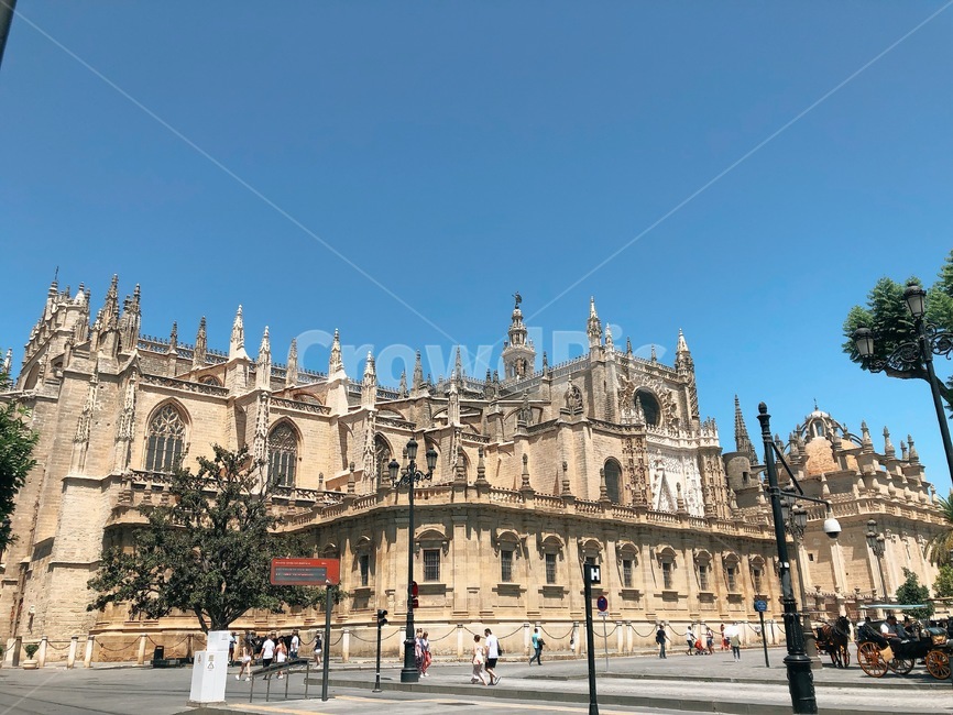 세비야,세비야대성당,스페인,성당,seville