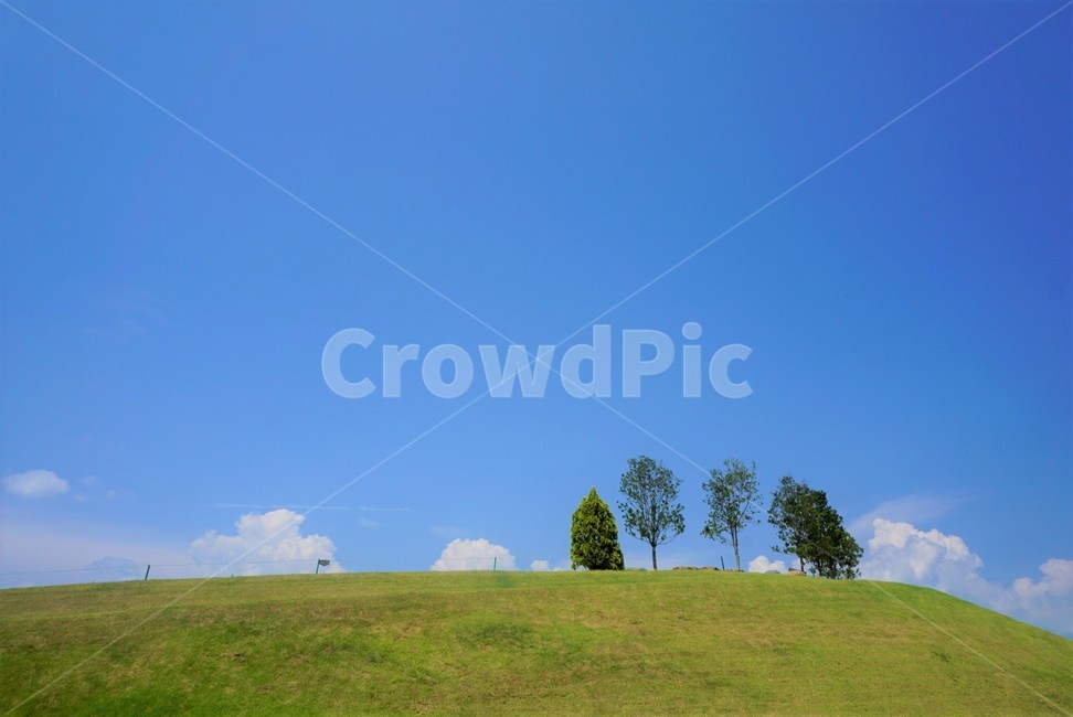 언덕,하늘,바탕화면,여름,자연,자연,풍경,nature,landscape,grass,잔디,plant,식물,grassland,목초지,field,들,outdoors,옥외