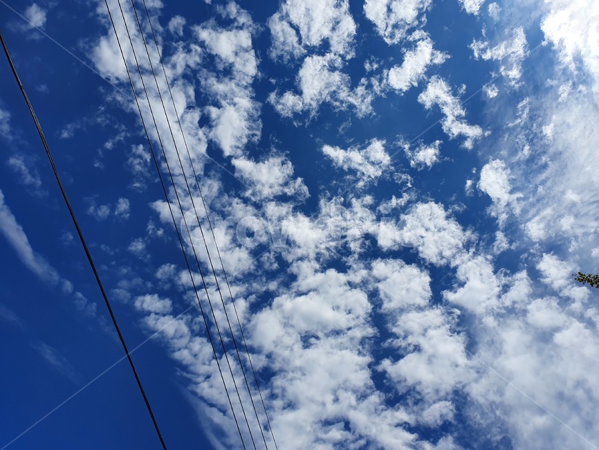 sky,하늘,푸른하늘,nature,자연,뭉게구름,구름,파란빛,전기줄,푸르른