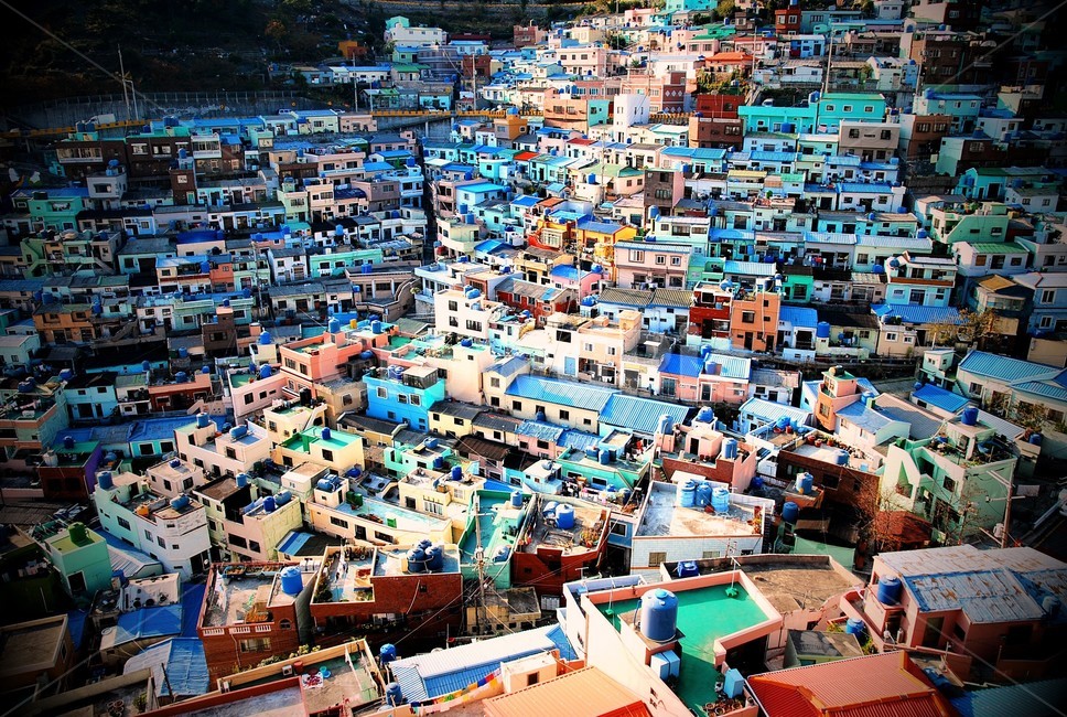 부산,감천마을,마을,골목길,전망,집,고향
