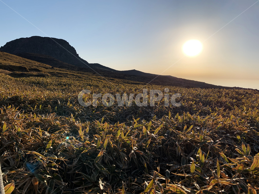 자연,태양,한라산,nature,일출
