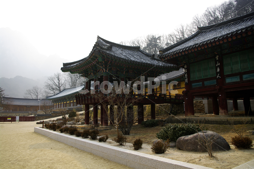 신흥사,사찰,절,전통,건축,기와,지붕,building,건물,temple,탑,건축물