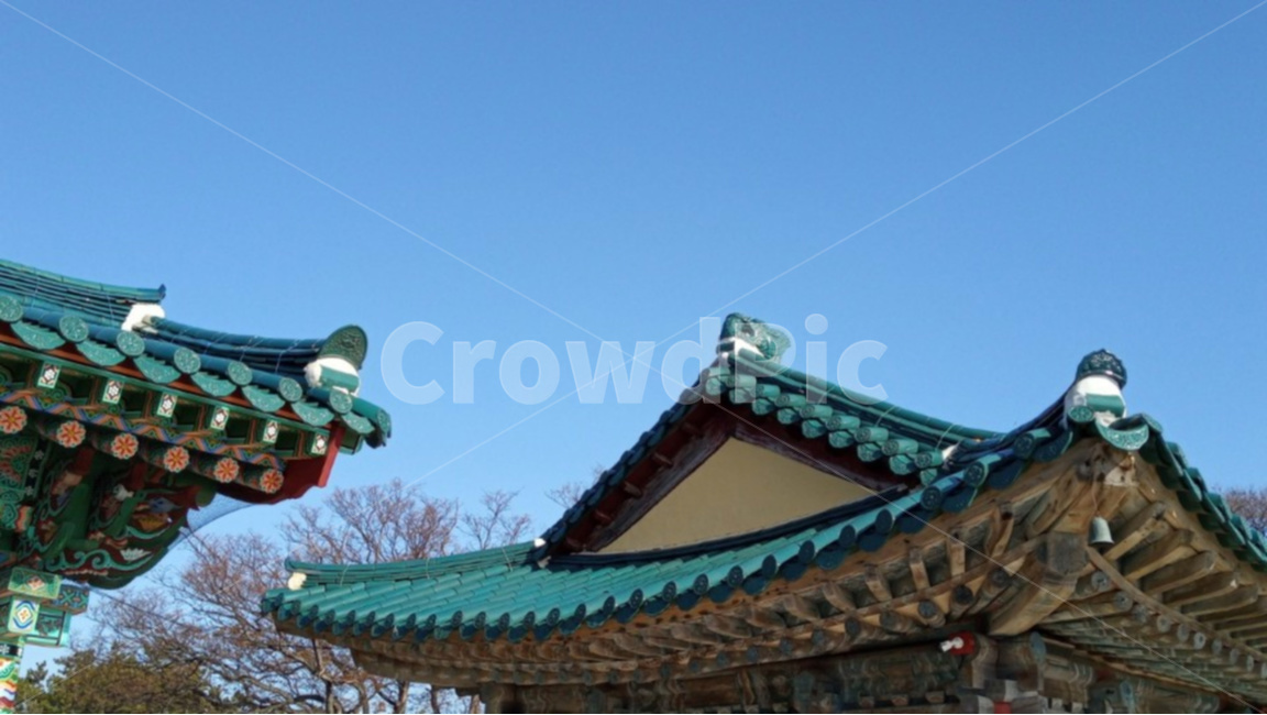 하늘,기와,지붕,기와지붕,건출물