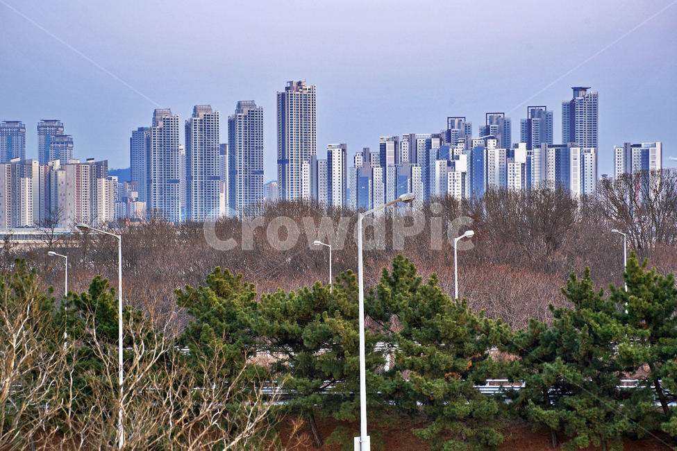 송도신도시,영종도,인천,건물,마천루,아파트