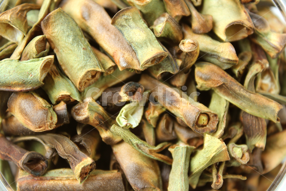 bean,beanpod,beanpods,brown,closeup,dry,food,green,healthy,natural,organic,plant,pod,tea,white,콩,콩깍지,콩껍질,브라운,갈색,건조,건조시킨,음식,식재료,차,자연,식물,흰배경,많은,건강,말린,클로즈업,음식,식재료,요리,food,cook,meal,dishes,food reserves,콩류,견과류,beans,pulse,nuts,dry fruits