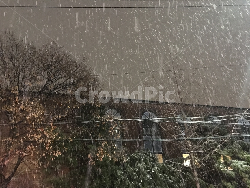 겨울,눈,나무,벽돌,Winter,Snow,Tree,Brick,겨울,계절,winter,season,야경,밤,풍경,nightscape,night,landscape,nature,자연,outdoors,옥외,snow,storm,폭풍,blizzard,눈보라