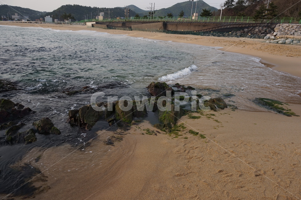 바다,해변,이끼,모래,일출,정동진,자연,풍경,nature,landscape,해변,바다,beach,sea,promontory,곶