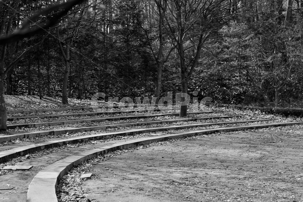 공터,객석,관람석,풍경,수목원,배경,자연,풍경,nature,landscape,흑백,모노톤,monochrome,black and white,railway,철도,rail,레일,train track,기찻길,transportation,교통