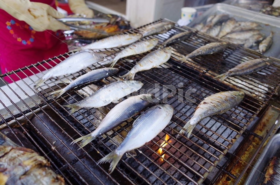 가을전어,전어구이,전어,가을,생선구이,생선,음식,식재료,요리,food,cook,meal,dishes,food reserves,수산물,해산물,fishery products,seafood