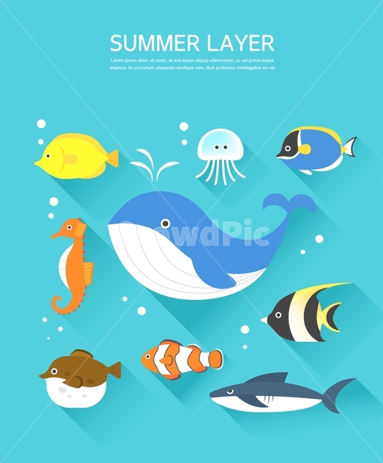 고래,해마,해파리,상어,물고기,여름,아이콘,플랫아이콘,여름,계절,summer,season,동물,animal,그래픽,일러스트레이션,graphic,illustration,아이콘,icon,ocean,대양,sea,바다,nature,자연,water,물,outdoors,옥외