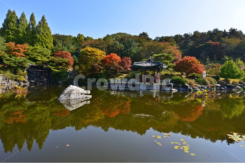nature,자연,outdoors,옥외,architecture,건축물,water,물,plant,식물,tree,나무,현충원,국립현충원,국립,현충지,추색,가을,계절,만추,단풍,단풍잎,반영,정자,경치,경관,풍경