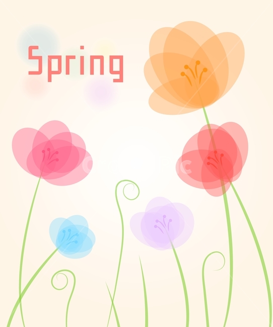 꽃,국화,줄기,봄,플랫디자인,일러스트,봄,계절,spring,season,그래픽,일러스트레이션,graphic,illustration,art,미술,pattern,무늬,floral design,플로랄 디자인