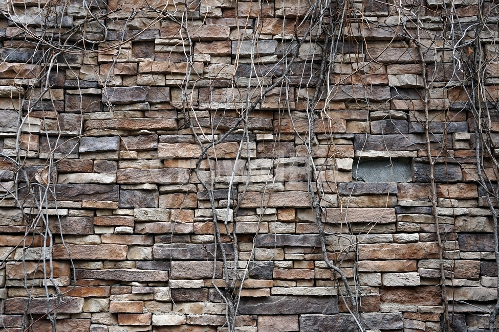 벽,벽돌,돌,돌벽돌,견고함,건축,건축재료,wall,brick,stonebrick,sturdy,단단함,견딤,조화,strong,solid,safety,식물,자연,plants,nature