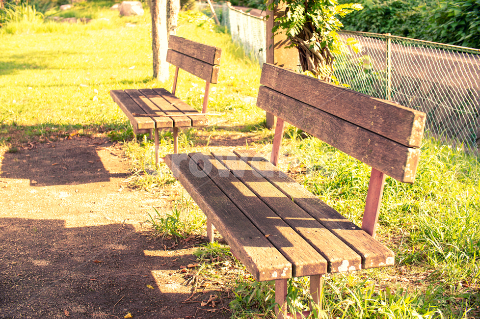 공원,야외,벤치,감성,자연,자연,풍경,nature,landscape,휴식,힐링,rest,relaxation,healing,bench,wood,나무