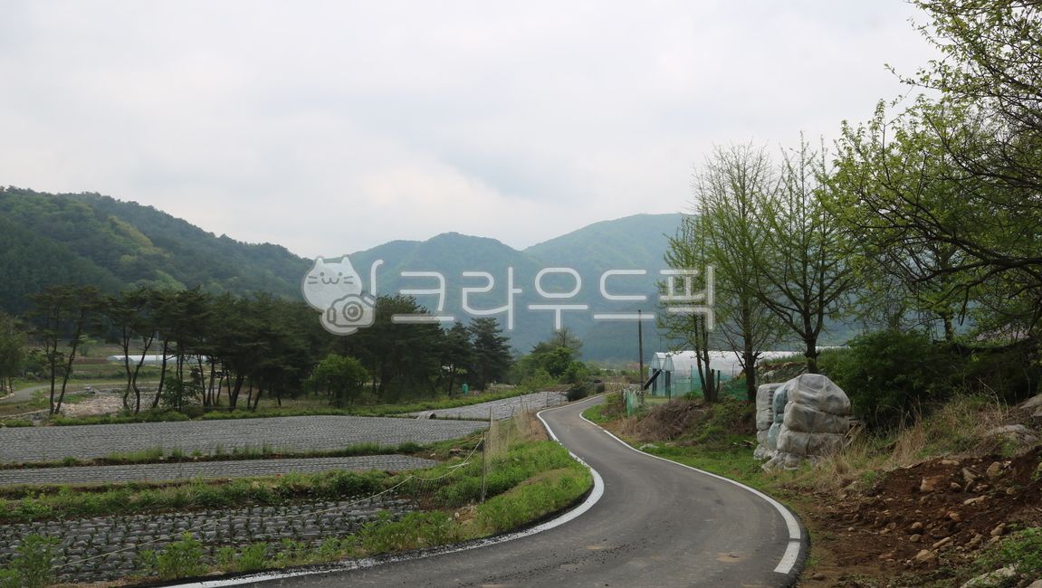 road,도로,asphalt,아스팔트,freeway,고속도로,highway,고속도로,산,나무,길,밭,산촌