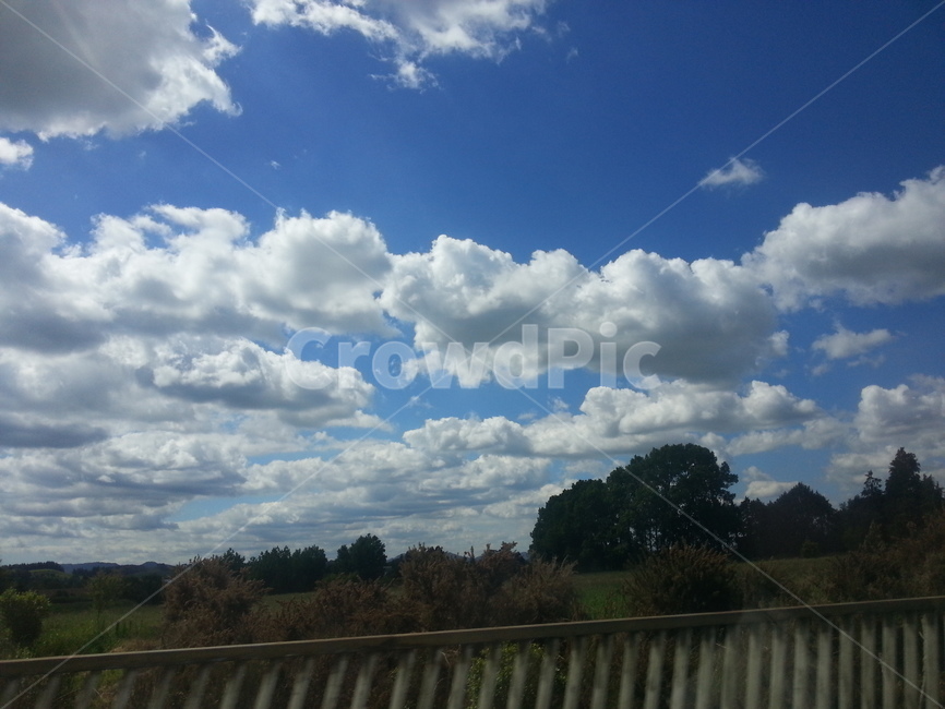 뉴질랜드,초록,하늘,편안한눈,힐링,자연,풍경,nature,landscape,weather,날씨,outdoors,옥외,cloud,구름,cumulus,적운,sky