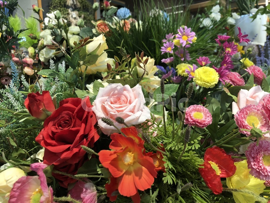 꽃,꽃집,flower,red,알록달록,식물,자연,plants,nature,꽃,flower