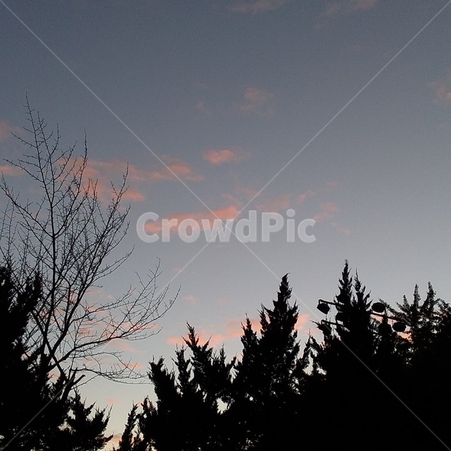감성,하늘,구름,노을,저녁,자연,풍경,nature,landscape,silhouette,실루엣,tree,나무,plant,식물