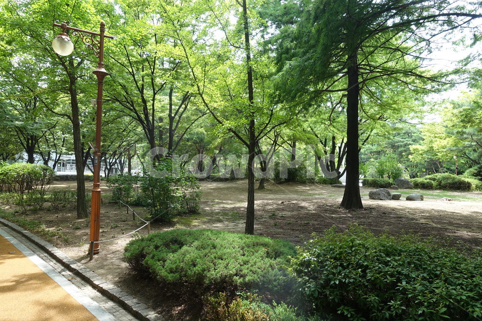 도산공원,서울,숲,공원,안창호