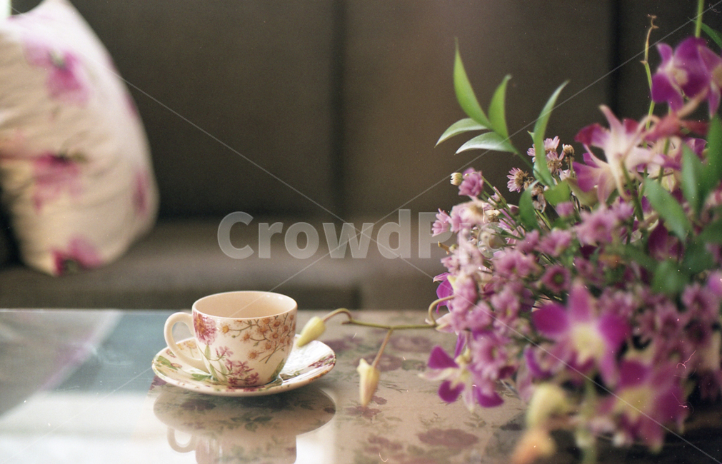 커피,필름사진,거실,꽃,배경,커피,카페,coffee,cafe,감성,sensible,feeling