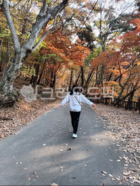 person, 사람, walking, tree, 나무, 사진,이미지,일러스트,캘리그라피 - 원빵이작가