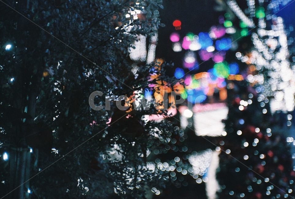 크리스마스트리,트리,나무,불빛,필름사진,겨울,계절,winter,season,야경,밤,풍경,nightscape,night,landscape,기념일,축하,anniversary,congratulation,celebrate,celebration,메리크리스마스,성탄절,merry christmas,감성,sensible,feeling
